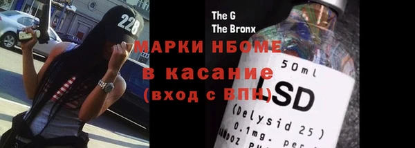 крисы Козельск