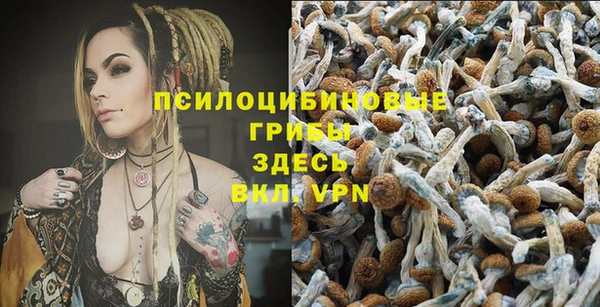 каннабис Коряжма