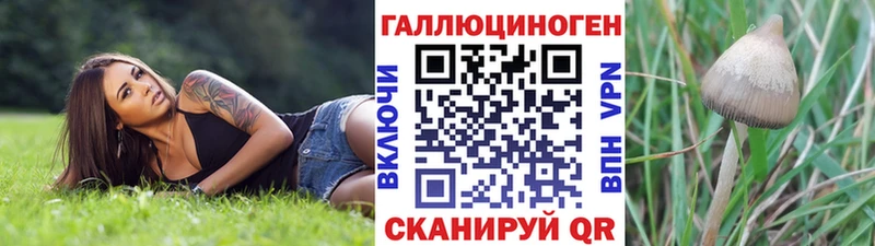 Галлюциногенные грибы Cubensis  Купить  Октябрьский 